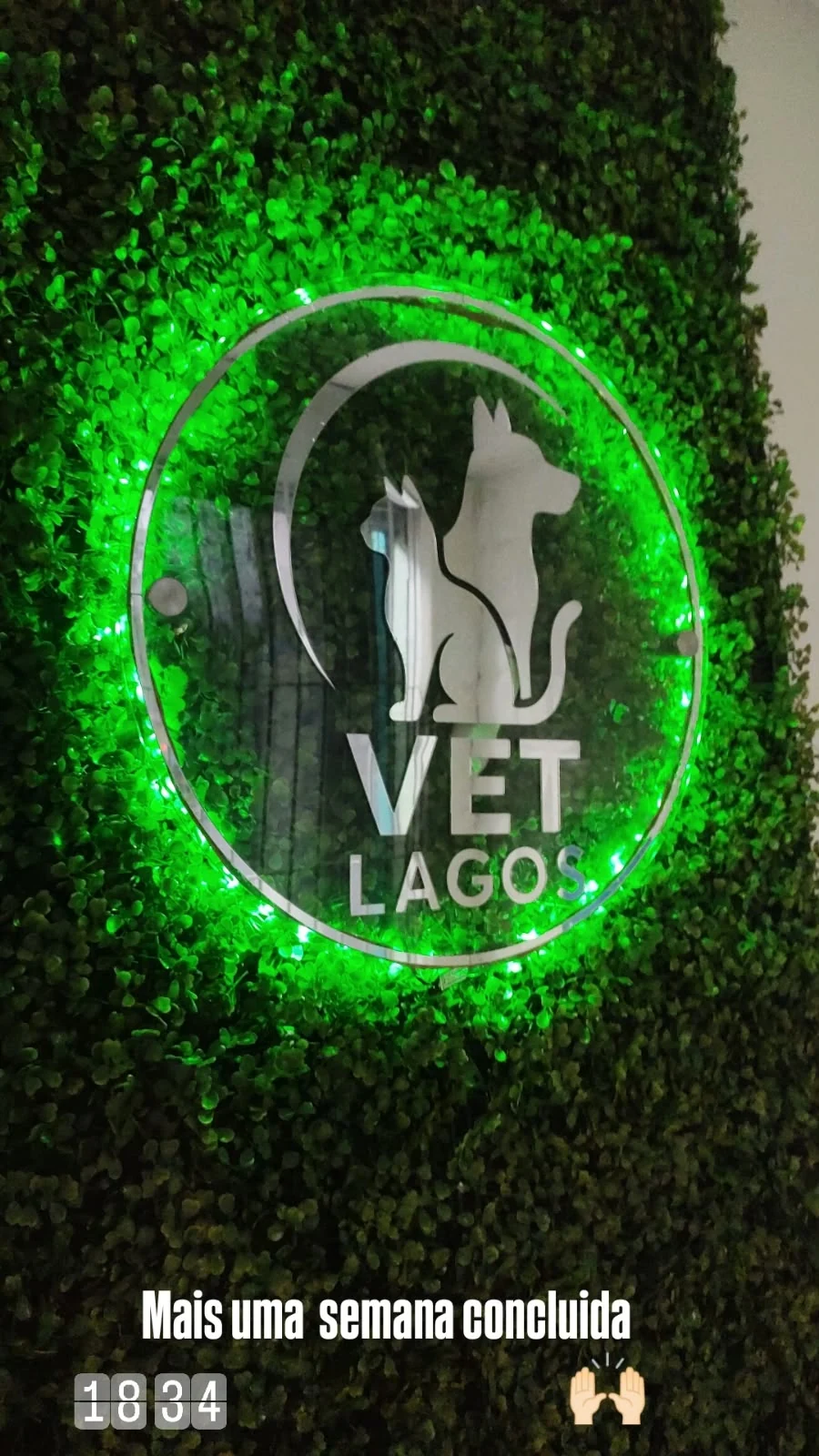 Logo da Vet Lagos no painel verde da clínica